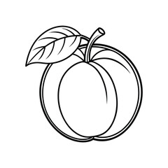 Apricot Line Icon Template. Crisp Vector Design on White Background