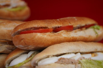 Panini sandwich with chicken and various vegetables.