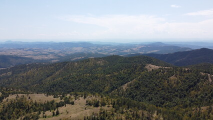 tree national park country