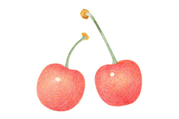 チャリーのイラスト