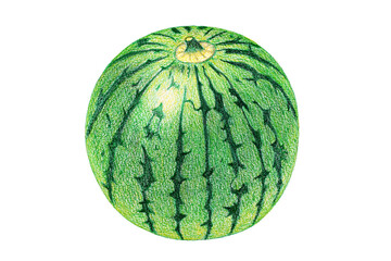 スイカのイラスト