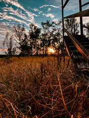 Sunset over a paddock 