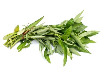 Closeup of Water Spinach or Ipomoea Aquatica Bundle Isolated on White Background with Copy Space