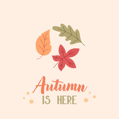 Autumn leaves postcard. Fall season card.  Foliage. 