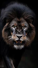 Papier peint photo Lion A majestic lion with a powerful mane is captured in a close-up shot, conveying strength, dominance, and the untamed beauty of the wild.  © Vesovic 