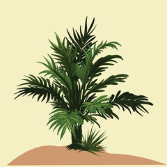 Fototapeta premium Palm tree grass with leaf vector Background