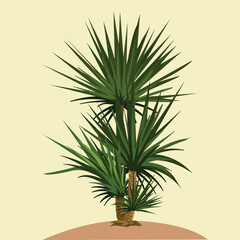 Little Coconut Palm tree with vector Background