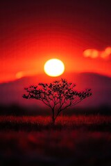 Fototapeta premium A serene sunset scene featuring a solitary tree against a vibrant red sky, perfect for nature and landscape themes.