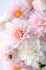 Obraz premium A close-up of beautifully arranged soft pink and white flowers in full bloom, radiating natural beauty, serenity, and elegance, ideal for nature lovers.