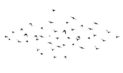 Flying birds silhouette flock. hand drawing. Not AI. Vector illustration