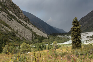 Scenic landscape in the valley of Ala Archa National park