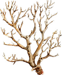 Fototapeta premium Golden coral branch.