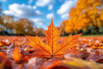 Fototapeta premium Autumn Leaves on the Ground with Blurred Background of Blue Sky and Trees