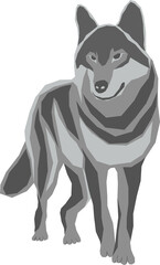 Illustration of a wolf