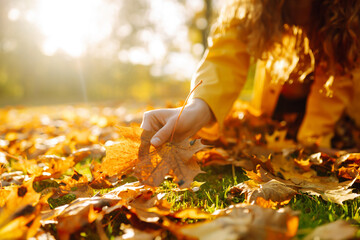 A young woman wraps their hands around a pile of vibrant autumn leaves. Woman cleans the autumn park from yellow leaves. Volunteering, cleaning, and ecology concept.