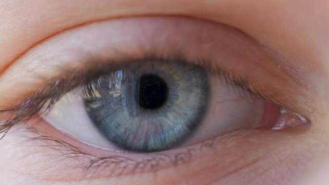Close-up of Person's Eye With Blue Iris. Blue Eye of Child Looking at Camera Close Up. Macro Shot Opening and Closing Blue Eyes Little Girl. Motion of Children Eyes. Human Eye Iris Opening Pupil.