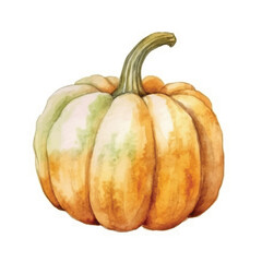 watercolor of pumpkin isolated white background