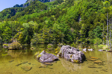 日本の風景・初夏　長野　新緑の上高地　明神池
