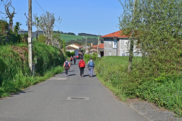 Paesaggi di Galizia, campagna colline, boschi e pellegrini sul cammino Primitivo di Santiago di...