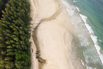 Birds-eye view of the gentle waves white sand beach coastline studded with pine trees