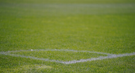 grass. the point where the corner kick is executed in football.