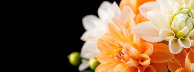 Fototapeta premium A tight shot of various blooms against a black backdrop, highlighted by a white and orange blossom at its core