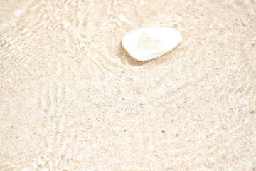 Obraz premium Seashells on the beach. Selective focus.