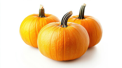 Obraz premium collection halloween pumpkin isolated on white background.