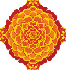 Vector illustration of marigold flower Isolated on a white background