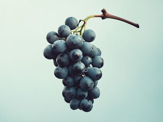 bunch of grapes