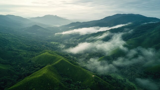 Aerial shot of the tranquil Kolli Hills in Tamil Nadu, with mist rolling over green valleys and tea plantations. No people.