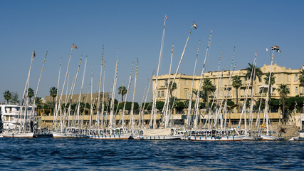boat trip on the red sea in egypt
