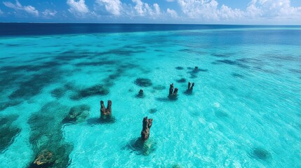 Fototapeta premium Bird's eye view of Maldives underwater sculptures visible through crystal-clear waters near the coast.