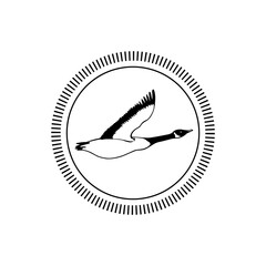 Vector emblem with hand drawn flying wild goose. Beautiful animal design elements, ink drawing.