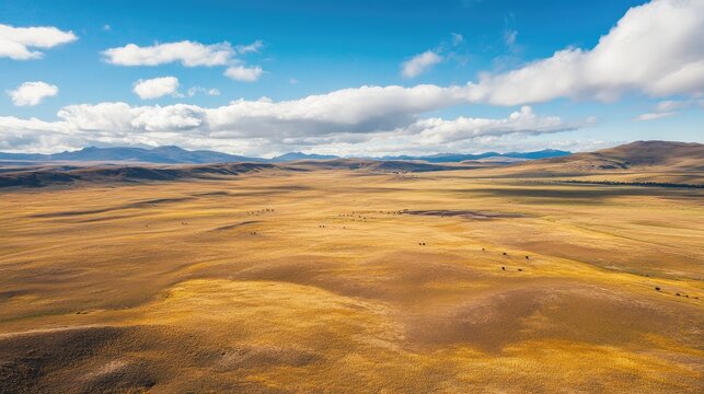 Bird's-eye view of the vast, open plains of the Pampas Galeras National Reserve, home to the graceful