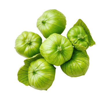 Fresh green tomatillos with husks on isolated on white background, top view. Perfect for Mexican cuisine and diverse culinary recipes.