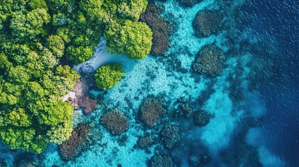 Obraz premium Top view of Maldives coral gardens, with a variety of marine life beneath the surface of the bright blue sea.