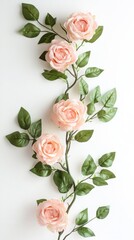 Fototapeta premium Photograph of a flying rose garland, isolated on a white background