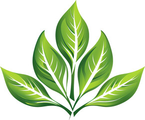 Naklejka premium Green leaves against on transparent background. PNG