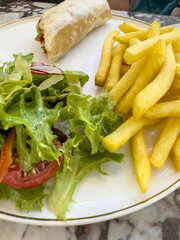 wrap sandwich on plate with salad and potato fries