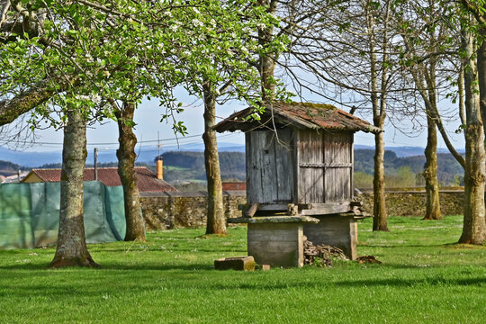 Paesaggi di Galizia, un Horreo sul cammino Primitivo di Santiago di Compostela fra Melide ed Arzua - Galizia, Spagna	