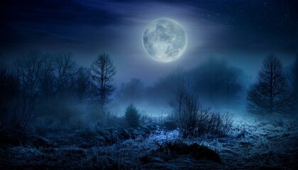 Fototapeta premium Jesienna, mglista noc z księżycem ponad drzewami. Nocny, jesienny krajobraz