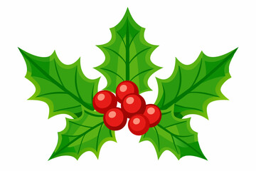 Christmas holly berry leaves vector art, Christmas leaves icon on white background