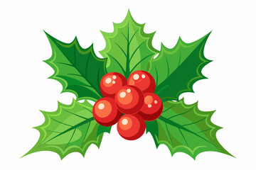 Christmas holly berry leaves vector art, Christmas leaves icon on white background