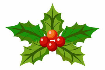 Christmas holly berry leaves vector art, Christmas leaves icon on white background