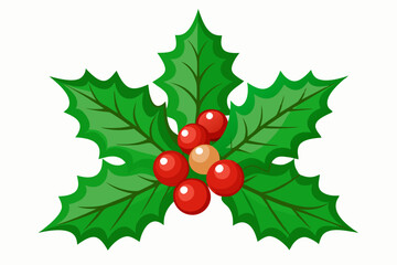 Christmas holly berry leaves vector art, Christmas leaves icon on white background