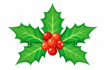 Christmas holly berry leaves vector art, Christmas leaves icon on white background