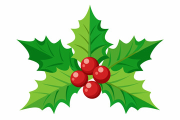 Christmas holly berry leaves vector art, Christmas leaves icon on white background