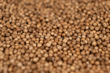 Macro Grains Coriander Natural Spice Selective Focus