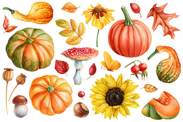 Set fall. Autumn Pumpkins, dry leaves, sunflower, mushrooms, poppy seed, butterfly, berry. Clipart, holiday card, design